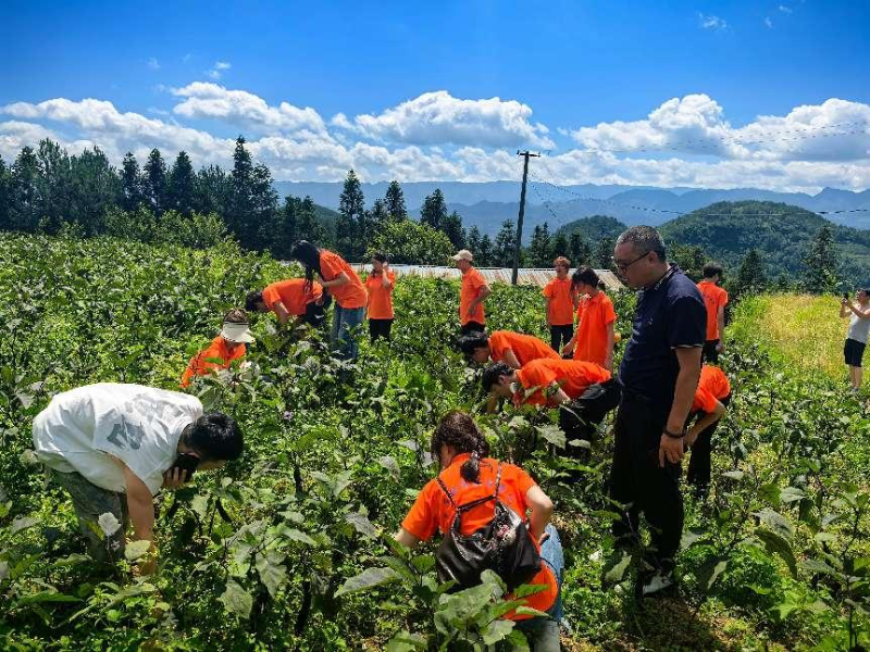 1756446608597024280.png 图片2.png